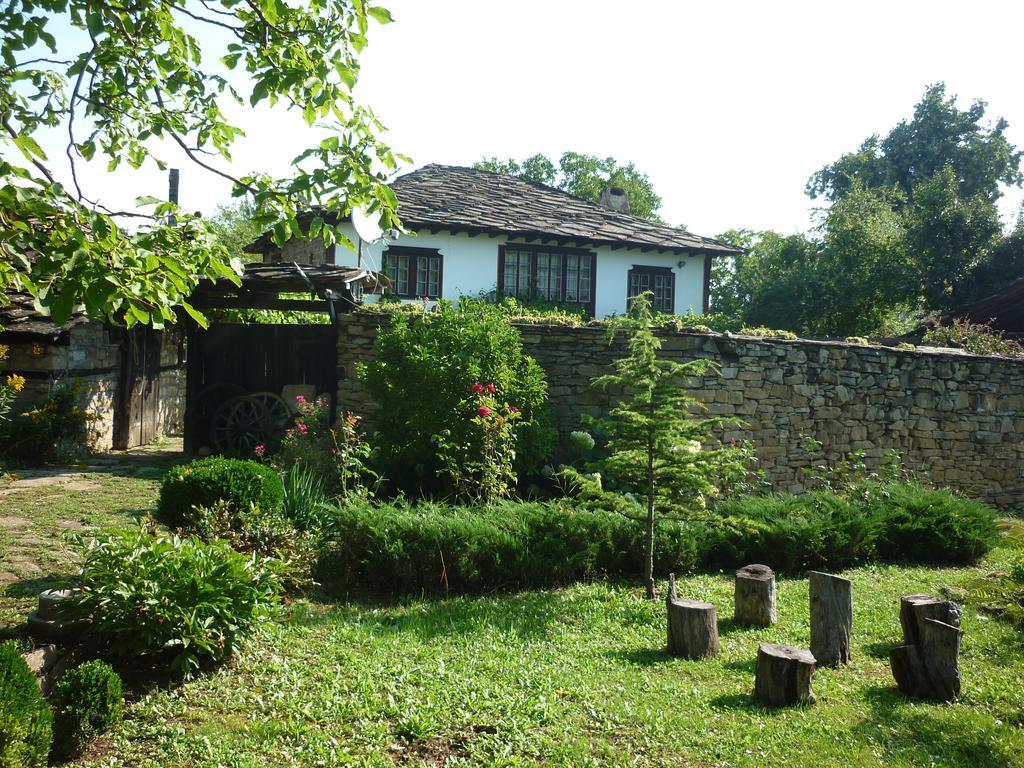 Guesthouse Peyna Exterior photo